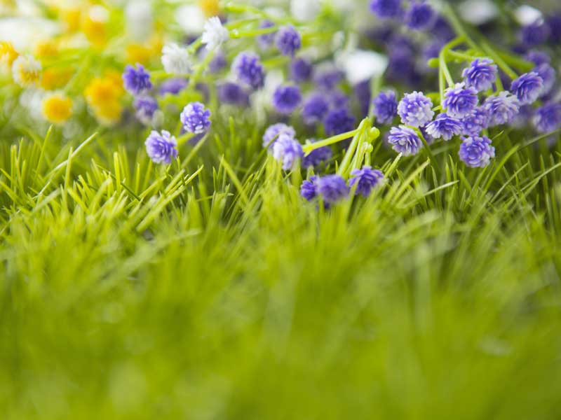 realizzazione giardini Modena